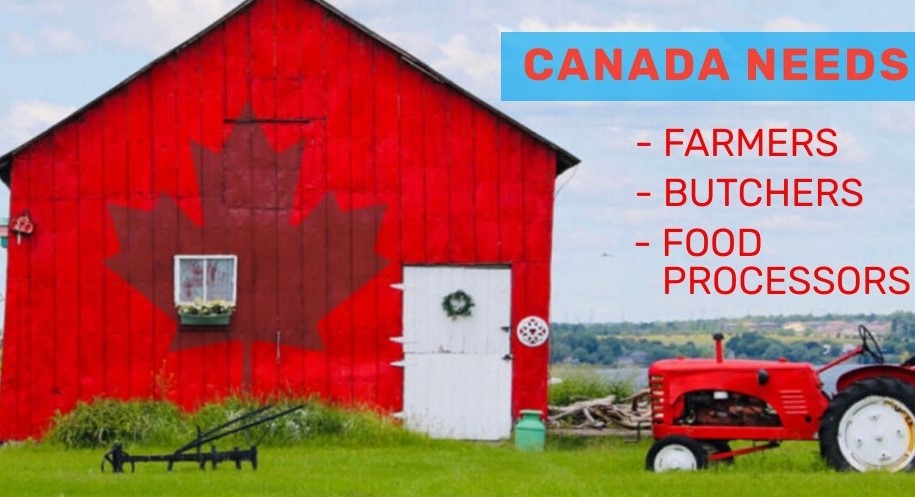 Agri-Food Pilot Canada
