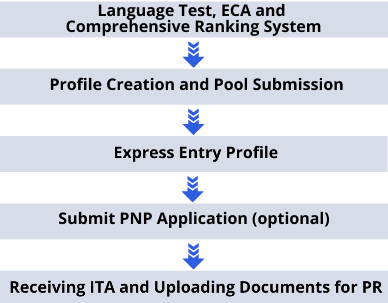 EE Steps Image